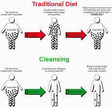 Why Lose Weight By Detoxing